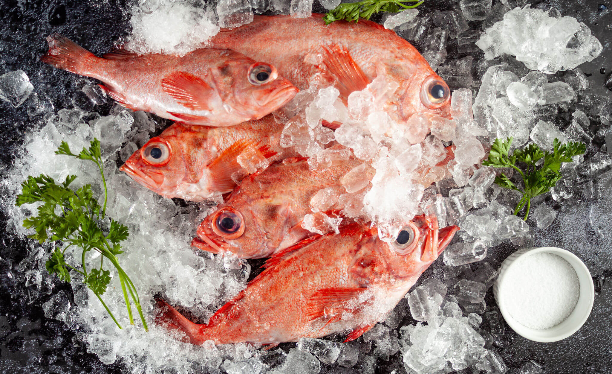 Acadian Redfish on ice