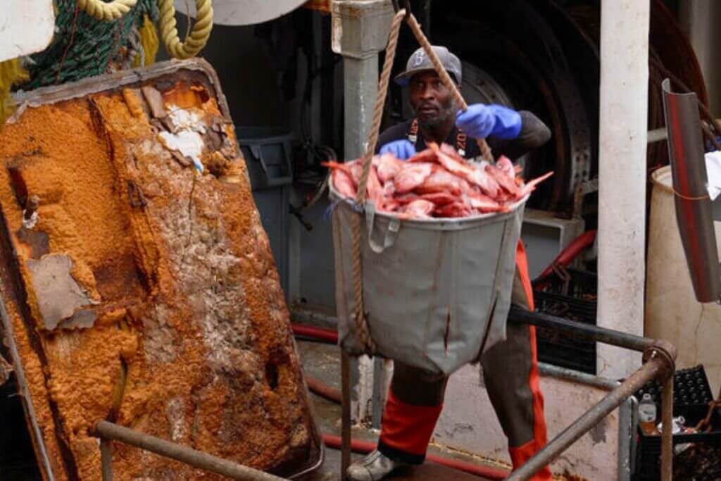 Canastra Fishing Co. catch of Acadian redfish