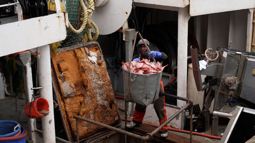 803_0646.MXF.19_15_55_38.Still001