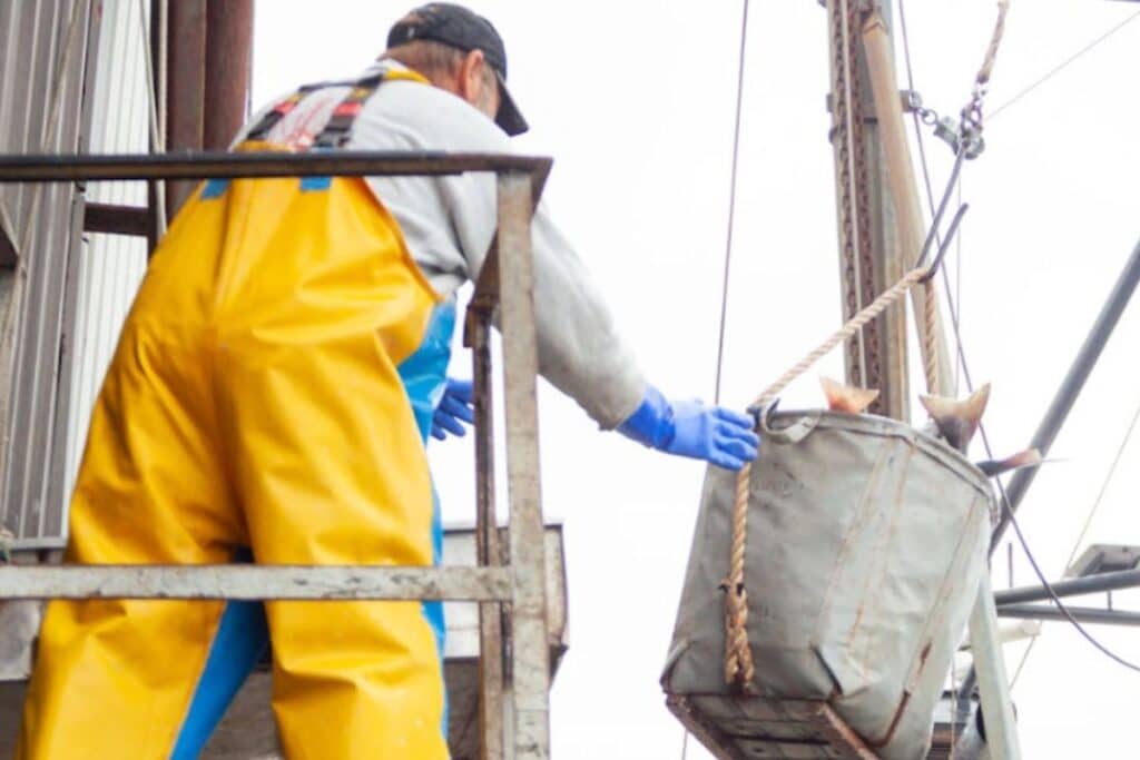 Deck hand receiving catch