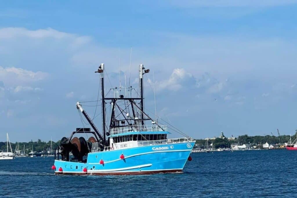 Blue Canastra fishing boat on the water