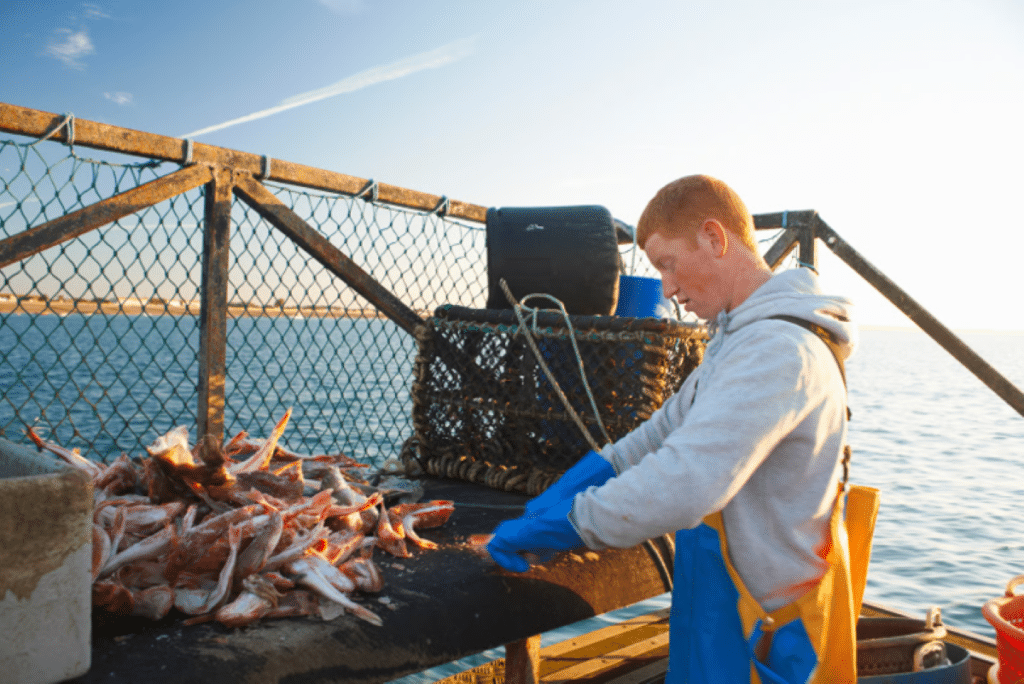 A young fisherman on a fishing boat