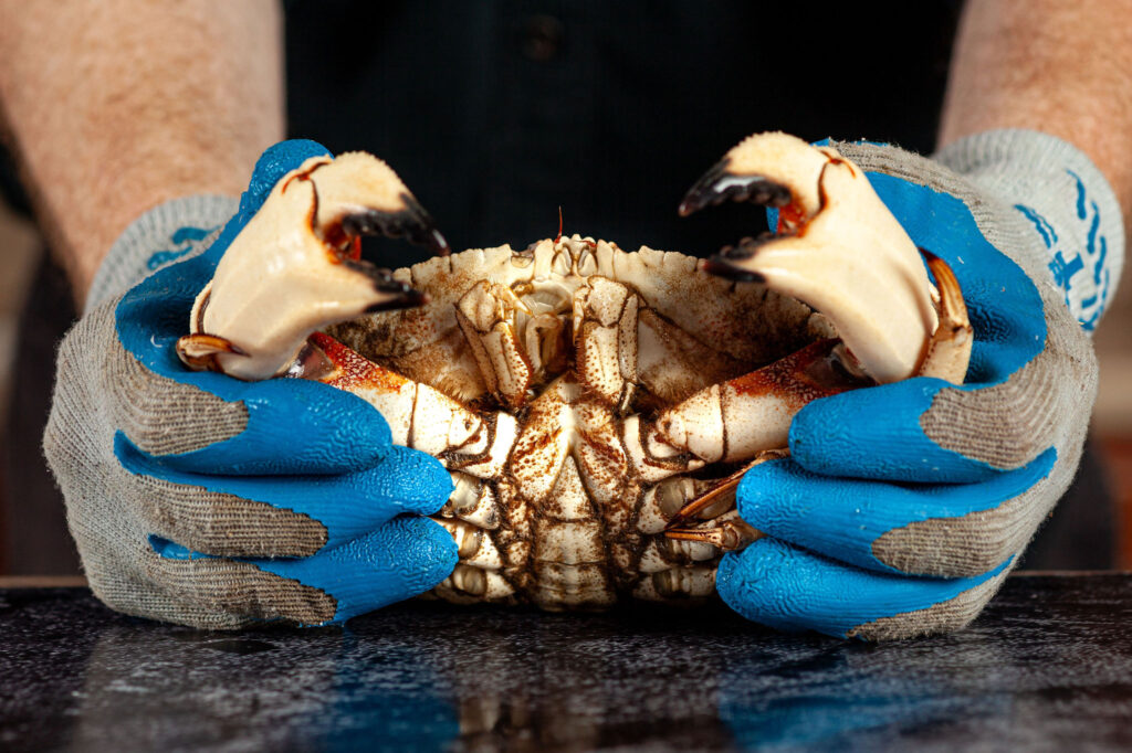 JonahCrab_BigOcean_KellySmithStudios--49