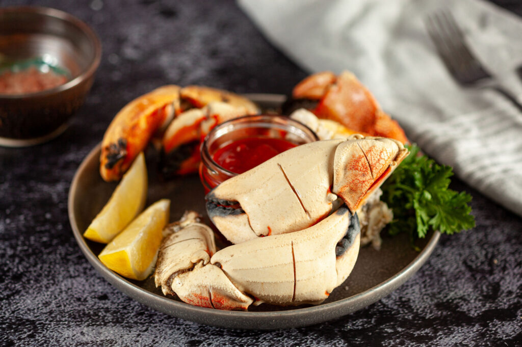 JonahCrab_BigOcean_KellySmithStudios--65