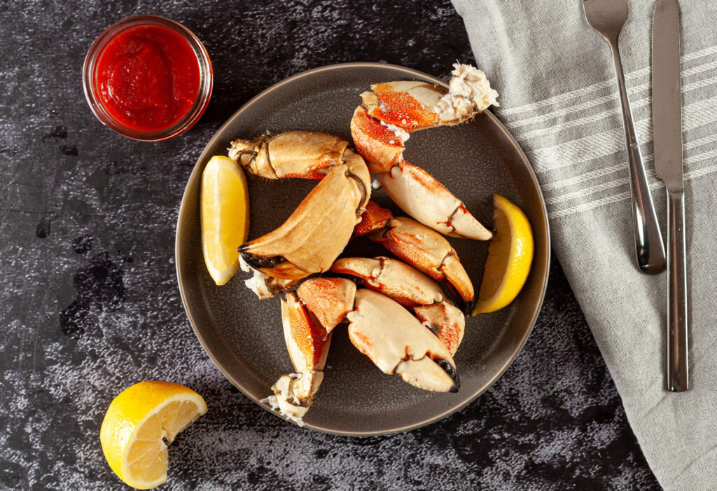 JonahCrab_BigOcean_KellySmithStudios-8168