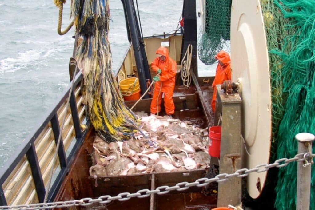 Fisherman on board Canastra fishing boat