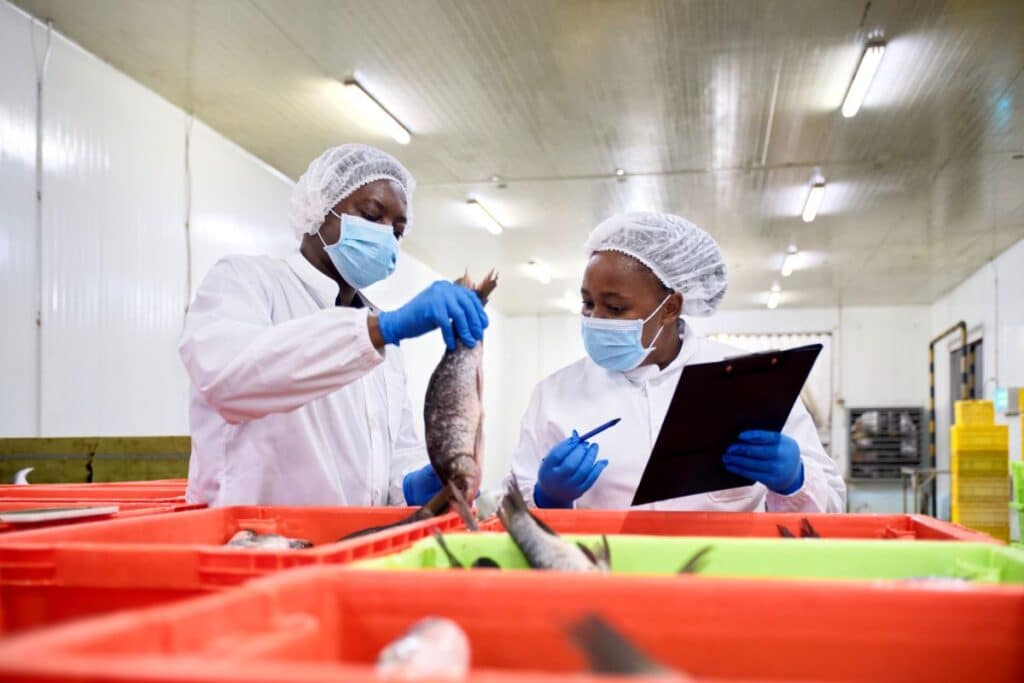 Two supervisors examine fresh fish