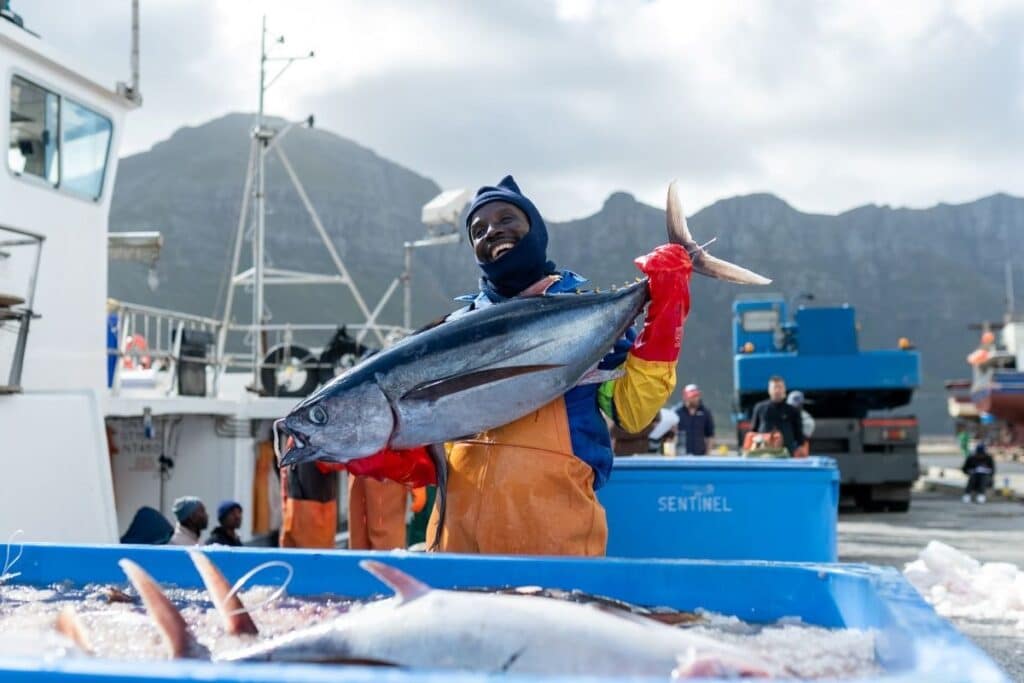 Putting fish on ice
